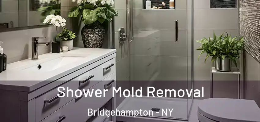  Shower Mold Removal Bridgehampton - NY