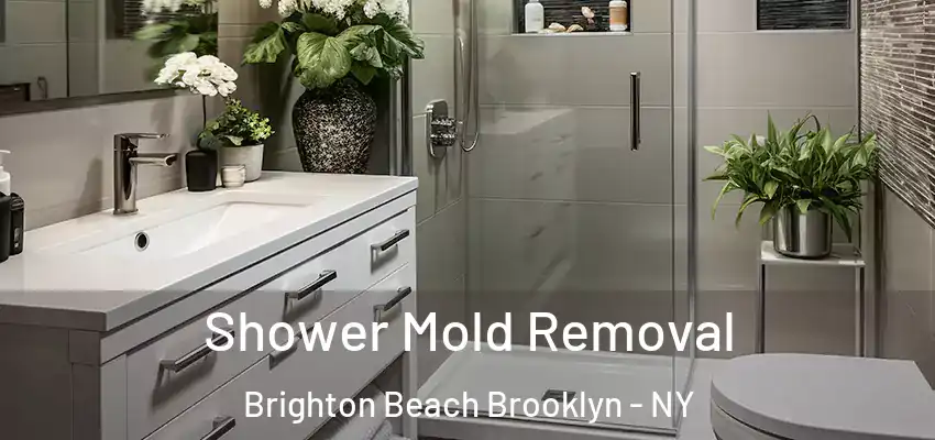  Shower Mold Removal Brighton Beach Brooklyn - NY