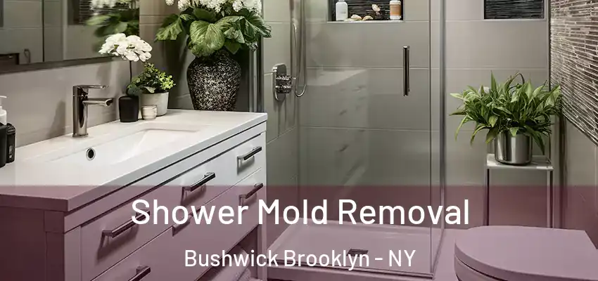  Shower Mold Removal Bushwick Brooklyn - NY