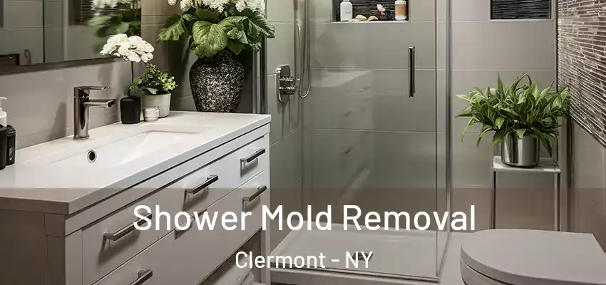  Shower Mold Removal Clermont - NY
