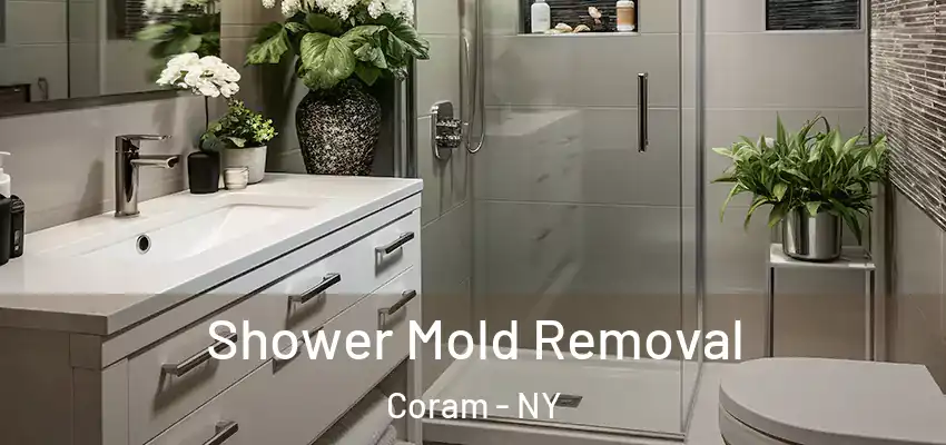 Shower Mold Removal Coram - NY