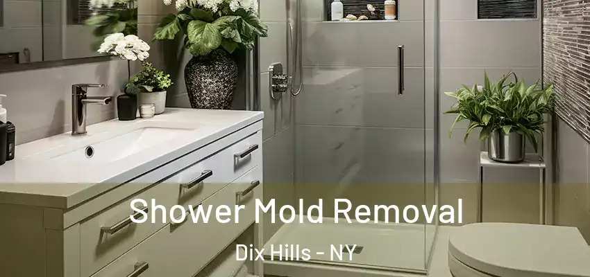  Shower Mold Removal Dix Hills - NY