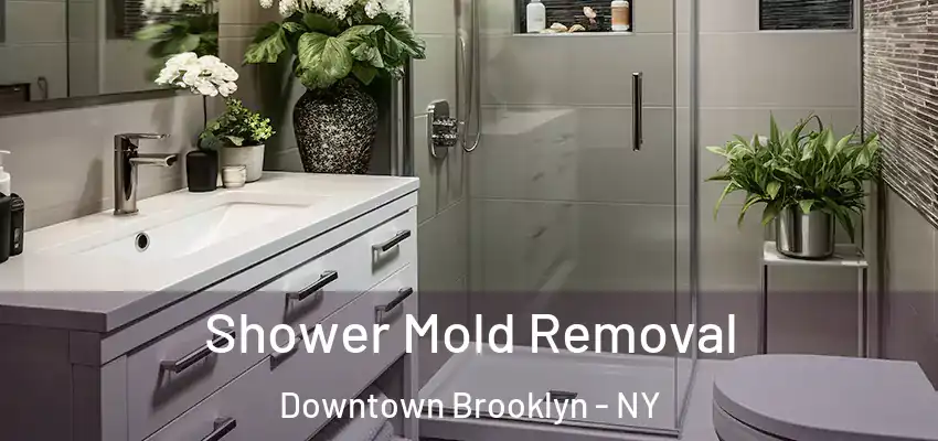  Shower Mold Removal Downtown Brooklyn - NY