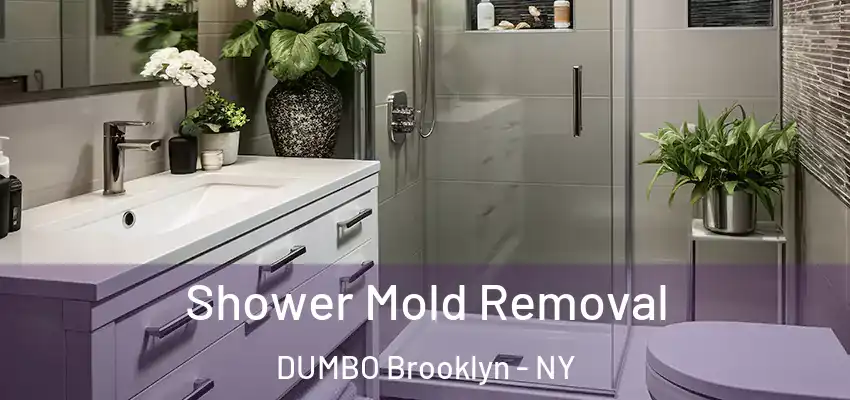 Shower Mold Removal DUMBO Brooklyn - NY