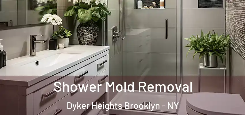  Shower Mold Removal Dyker Heights Brooklyn - NY