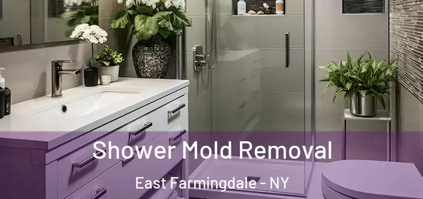 Shower Mold Removal East Farmingdale - NY