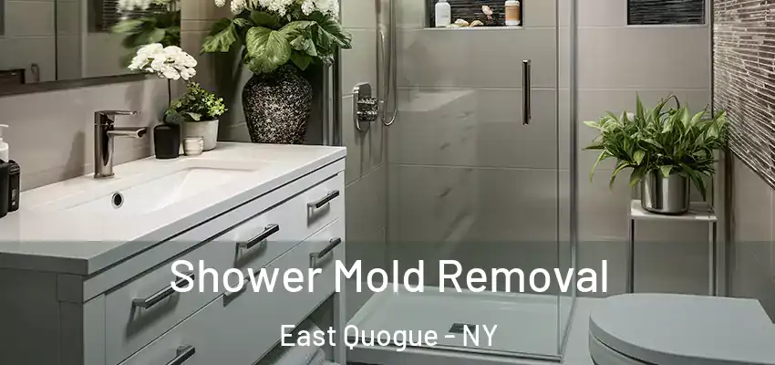  Shower Mold Removal East Quogue - NY