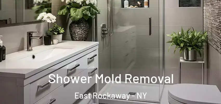  Shower Mold Removal East Rockaway - NY