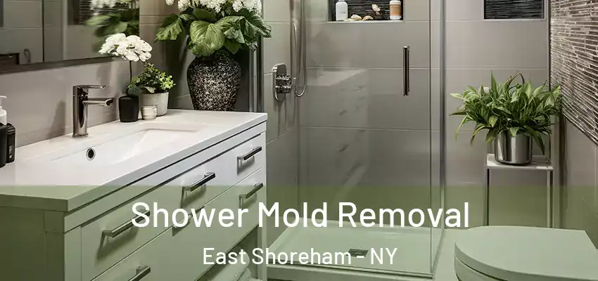 Shower Mold Removal East Shoreham - NY