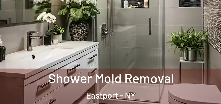  Shower Mold Removal Eastport - NY