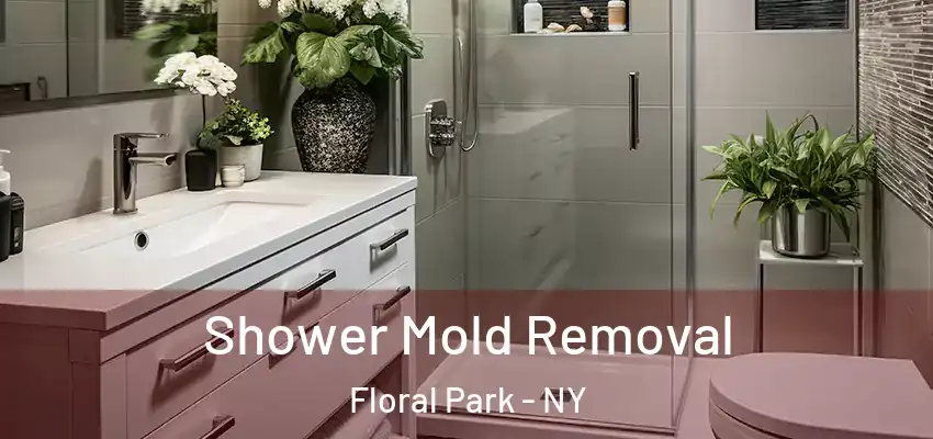  Shower Mold Removal Floral Park - NY