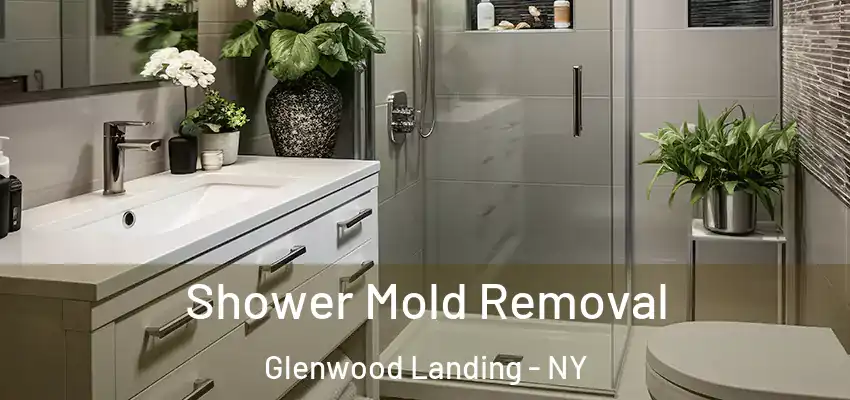  Shower Mold Removal Glenwood Landing - NY