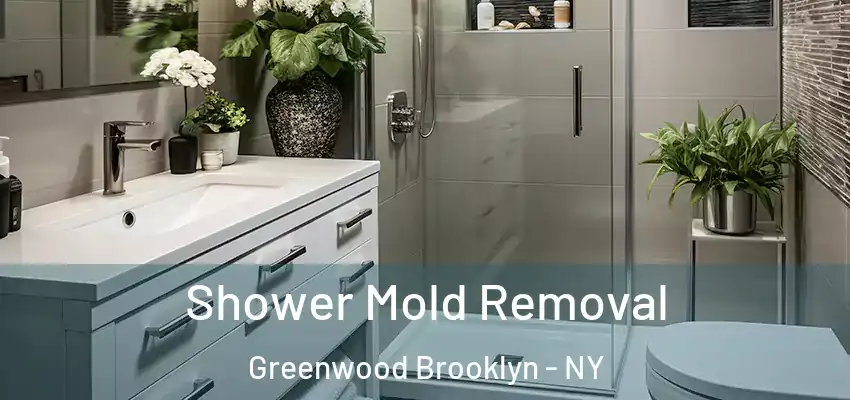 Shower Mold Removal Greenwood Brooklyn - NY