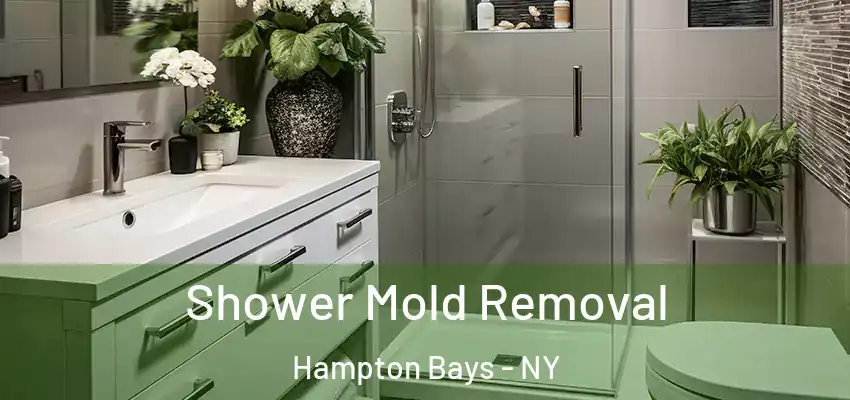 Shower Mold Removal Hampton Bays - NY
