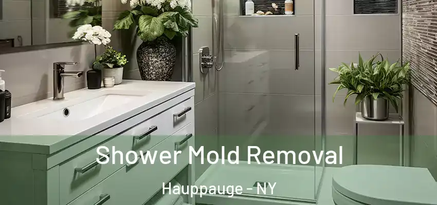  Shower Mold Removal Hauppauge - NY