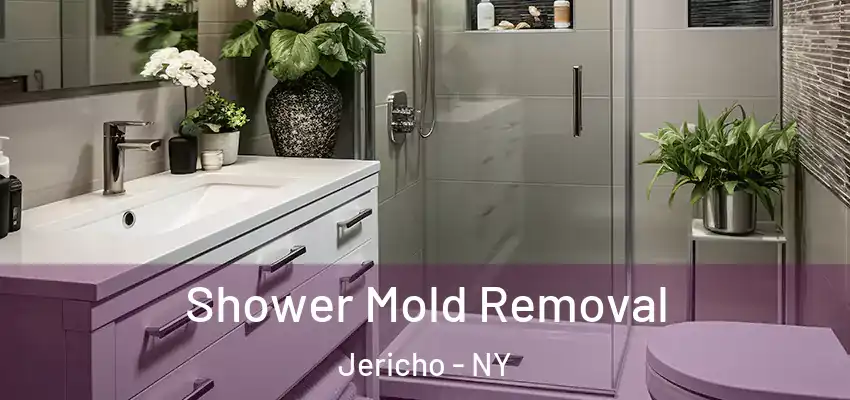  Shower Mold Removal Jericho - NY