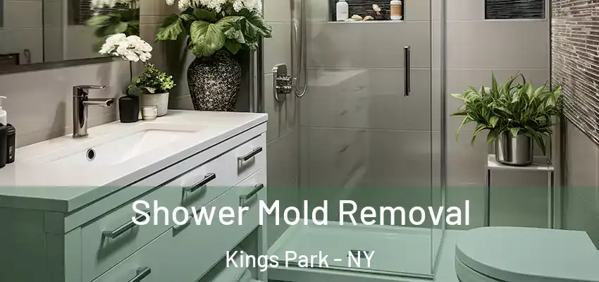  Shower Mold Removal Kings Park - NY