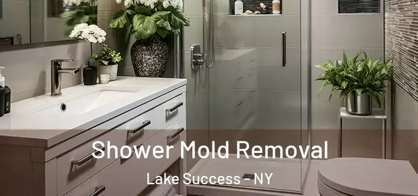  Shower Mold Removal Lake Success - NY