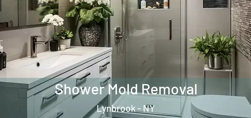 Shower Mold Removal Lynbrook - NY