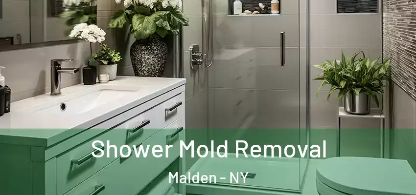  Shower Mold Removal Malden - NY