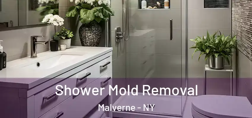Shower Mold Removal Malverne - NY