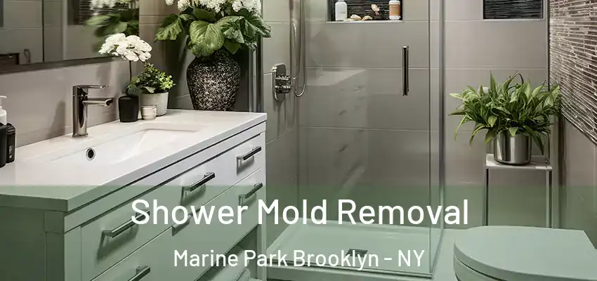 Shower Mold Removal Marine Park Brooklyn - NY