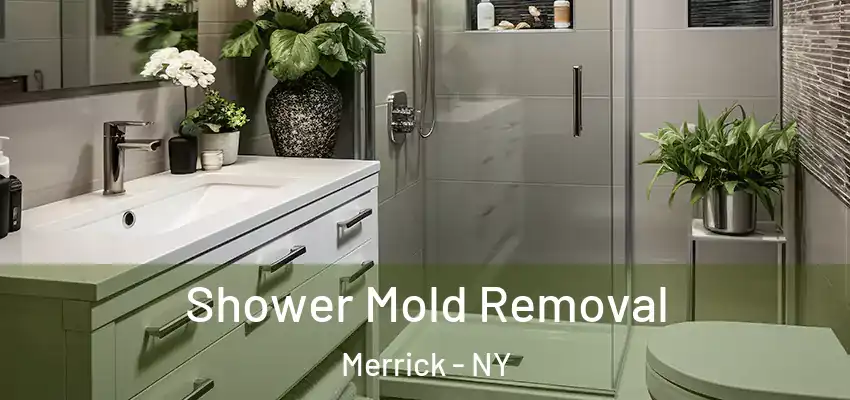 Shower Mold Removal Merrick - NY