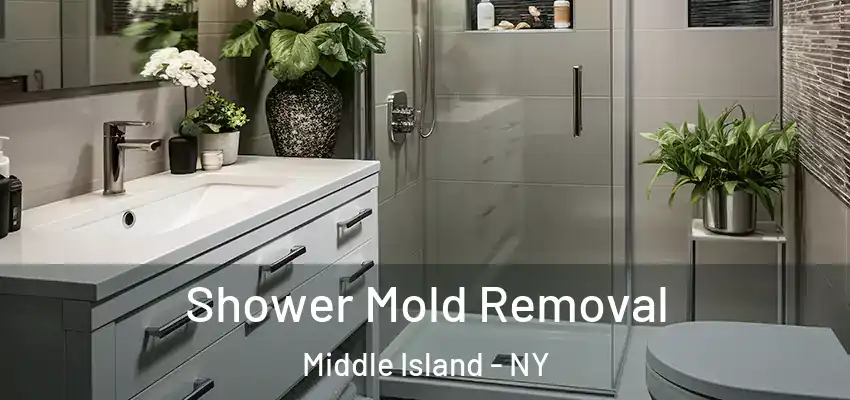 Shower Mold Removal Middle Island - NY