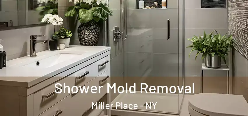 Shower Mold Removal Miller Place - NY