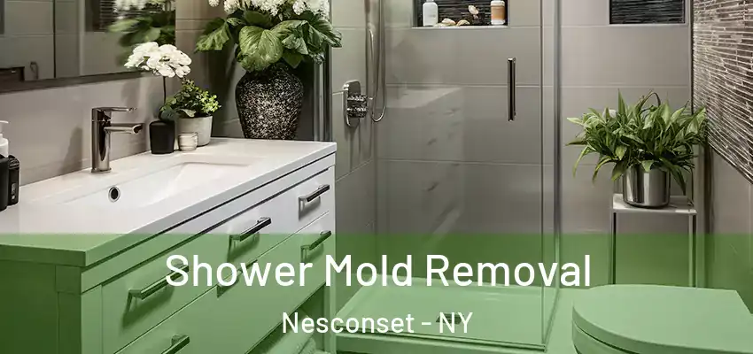 Shower Mold Removal Nesconset - NY
