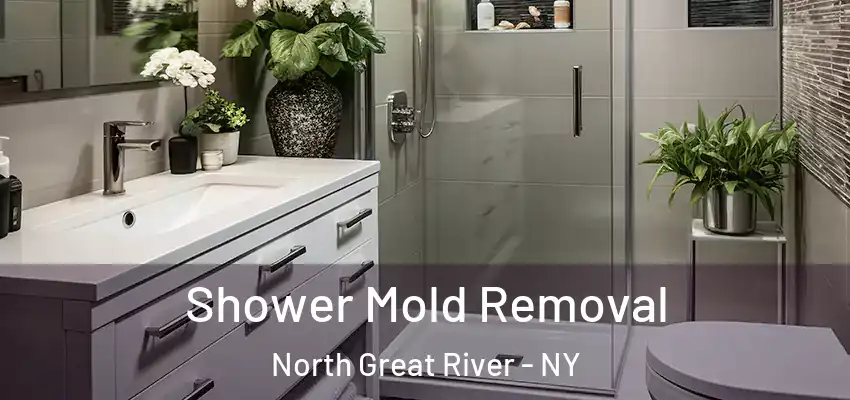  Shower Mold Removal North Great River - NY