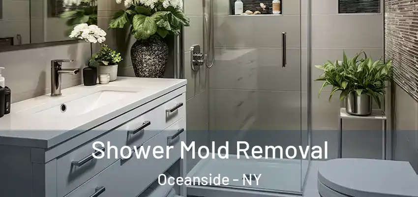 Shower Mold Removal Oceanside - NY