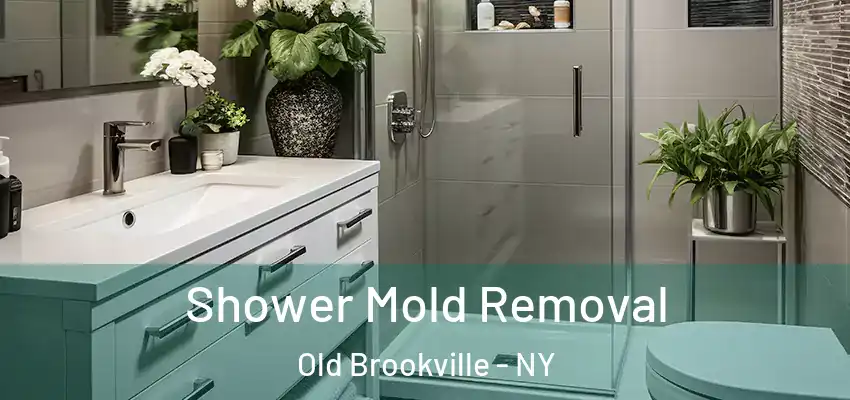 Shower Mold Removal Old Brookville - NY