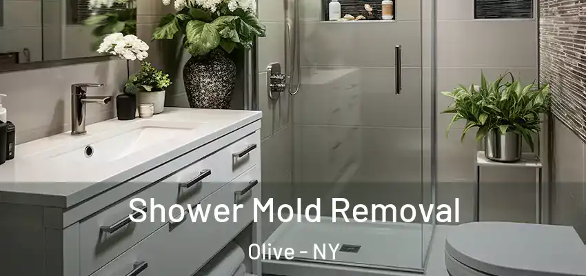 Shower Mold Removal Olive - NY