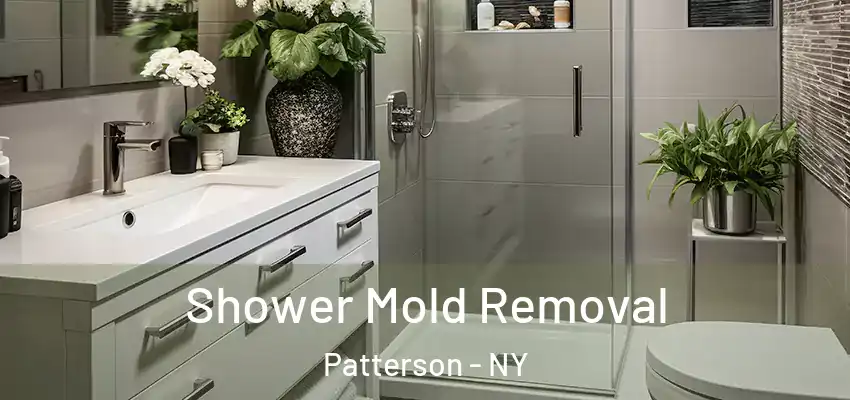 Shower Mold Removal Patterson - NY