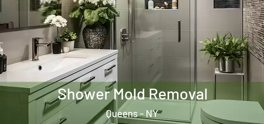 Shower Mold Removal Queens - NY