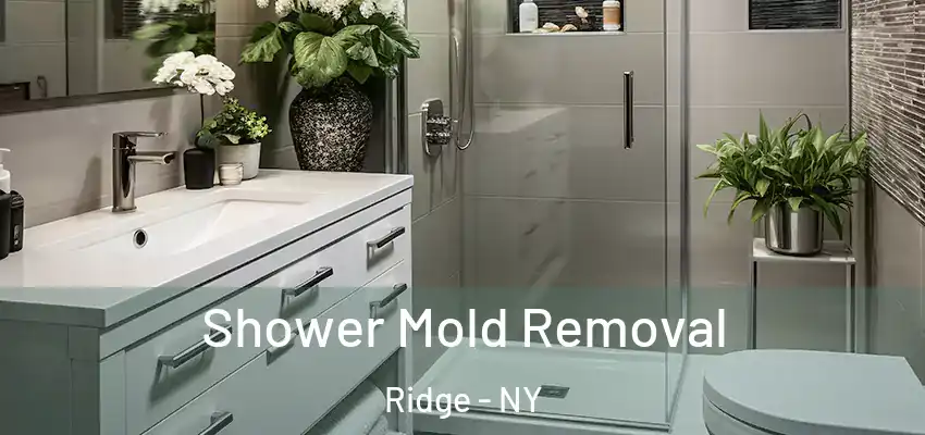 Shower Mold Removal Ridge - NY