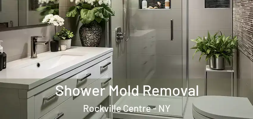  Shower Mold Removal Rockville Centre - NY