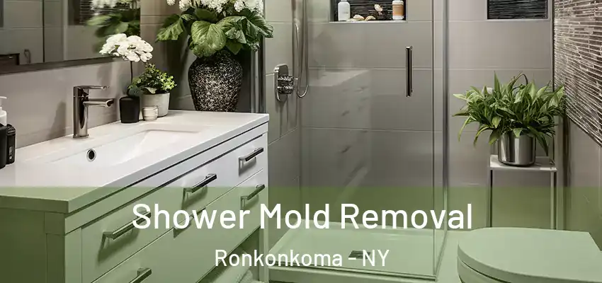  Shower Mold Removal Ronkonkoma - NY