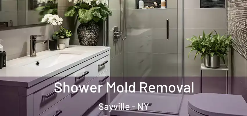  Shower Mold Removal Sayville - NY