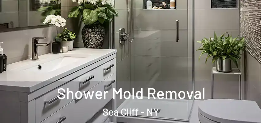  Shower Mold Removal Sea Cliff - NY
