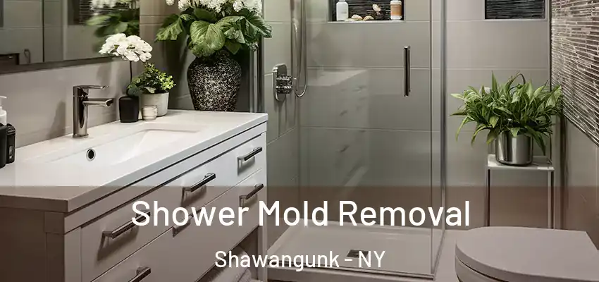 Shower Mold Removal Shawangunk - NY