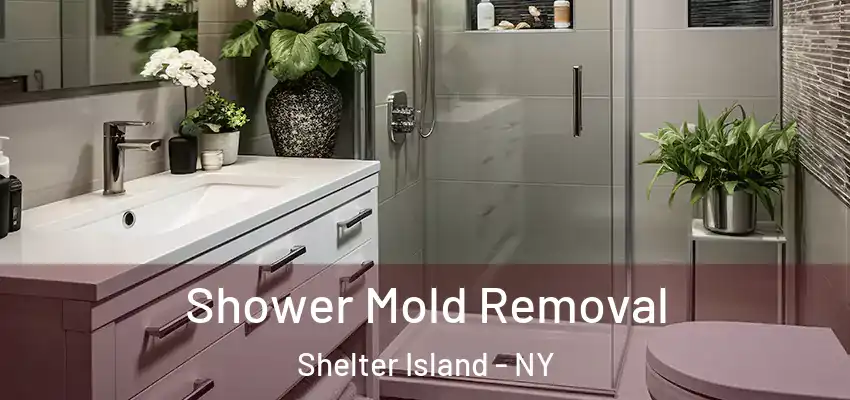 Shower Mold Removal Shelter Island - NY