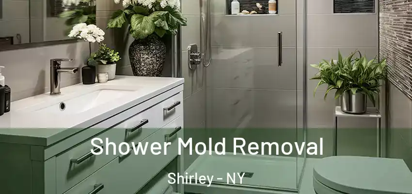  Shower Mold Removal Shirley - NY