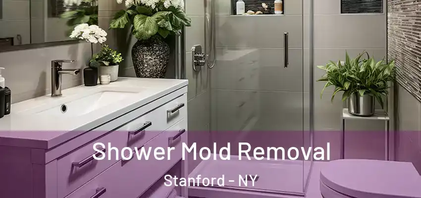 Shower Mold Removal Stanford - NY