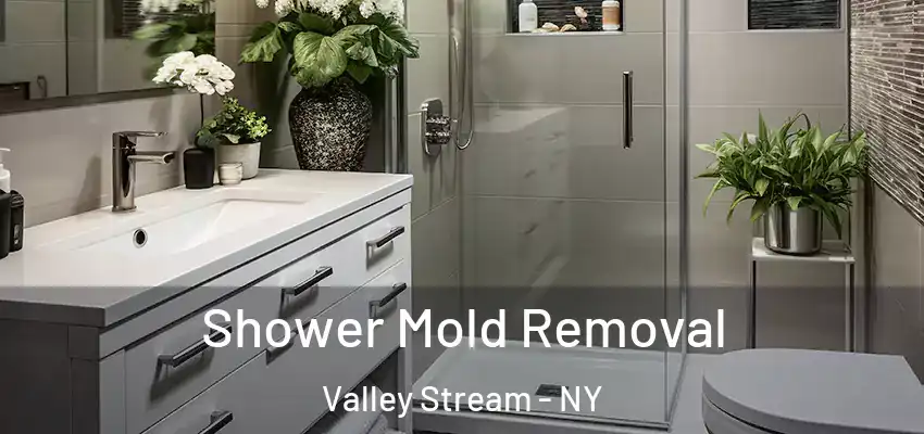 Shower Mold Removal Valley Stream - NY