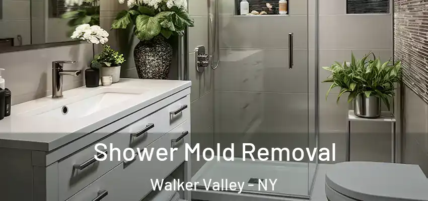Shower Mold Removal Walker Valley - NY