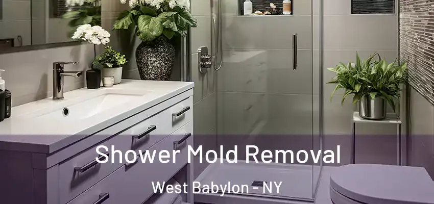  Shower Mold Removal West Babylon - NY
