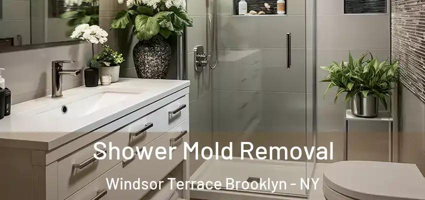  Shower Mold Removal Windsor Terrace Brooklyn - NY