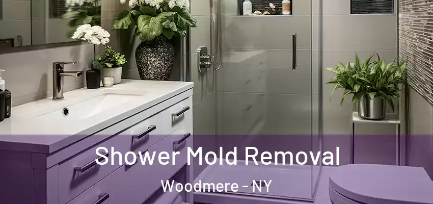  Shower Mold Removal Woodmere - NY